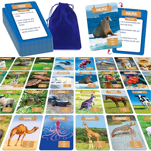 SpriteGru Outdoor-Schnitzeljagd-Kartenspiel, 50 Tierwelt-Flashkarten, Jumbo-Größe, Einführungskarten für Tiere, Bildungs-Spielzeug für Aktivitäten in der Natur, Outdoor-Spiele für Kinder und Familien SpriteGru Outdoor-Schnitzeljagd-Kartenspiel, 50 Tierwelt-Flashkarten, Jumbo-Größe, Einführungskarten für Tiere, Bildungs-Spielzeug für Aktivitäten in der Natur, Outdoor-Spiele für Kinder und Familien von SpriteGru