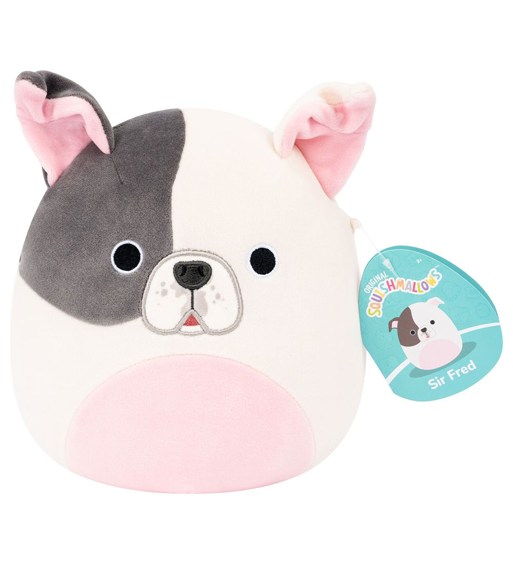 Squishmallows Kuscheltier - 19 cm - Sir Fred Pitbull - Squishmallows - One Size - Kuscheltiere von Squishmallows