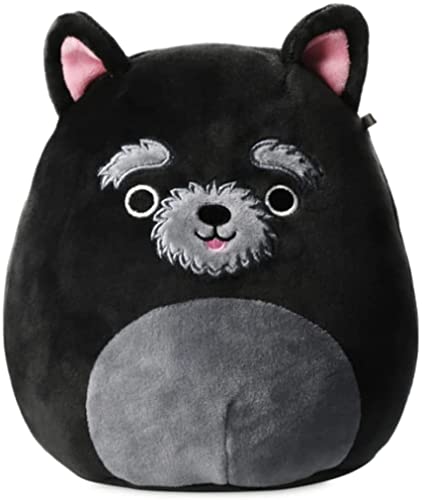 Squishmallows Official Kellytoy Plush 7.5 Inch Squishy Stuffed Toy Animal (Chuy Cairn Terrier) von Squishmallows