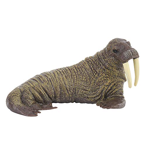 Miniatur-Walross-Elefant-Siegel-Figur, Tiermodell, Spielzeug, Pädagogisches 3D für Schulprojekte, Spiele und Bastelarbeiten, REGT die Fantasie an. Miniatur-Walross-Elefant-Siegel-Figur, Tiermodell, Spielzeug, Pädagogisches 3D für Schulprojekte, Spiele und Bastelarbeiten, REGT die Fantasie an. von Srliya