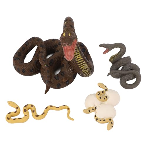 Schlangen-Wachstumszyklus-Modell, Spielzeug, 4 Stück, Schlangen-Wachstumszyklus-Modell, Spielzeug, Realistisches Pädagogisches Spiel, Simulierte Schlangenstatue, Skulptur für Schlangen-Wachstumszyklus-Modell, Spielzeug, 4 Stück, Schlangen-Wachstumszyklus-Modell, Spielzeug, Realistisches Pädagogisches Spiel, Simulierte Schlangenstatue, Skulptur für von Srliya