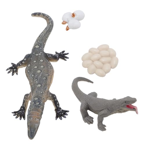Srliya 4 PCs Eidechsenlebenszyklus Spielzeug PVC Realistische Bildungswachstumszyklus Spielzeug für Tierzyklus von Srliya