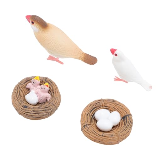 Srliya 4 PCs Finch Bird Life Cycle Figuren für Kinder PVC Realistische Bildungswachstumszyklusspielzeug für Bildung Tier von Srliya
