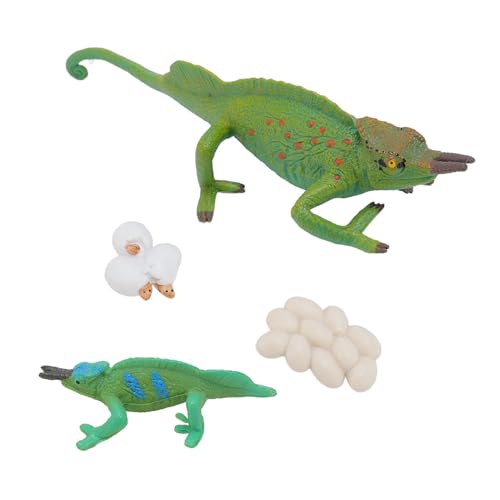Srliya 4pcs Simulation Tiermodell Spielzeugverzierung Kinder Kognitiver Wachstumskreislaufspielzeug für Heimschule von Srliya