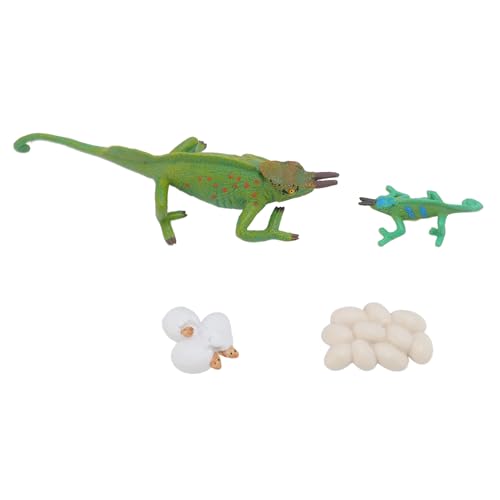 Srliya 4pcs Simulation Tiermodell Spielzeugverzierung Kinder Kognitiver Wachstumskreislaufspielzeug für Heimschule Srliya 4pcs Simulation Tiermodell Spielzeugverzierung Kinder Kognitiver Wachstumskreislaufspielzeug für Heimschule von Srliya