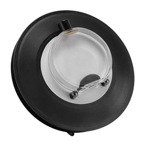 Srliya Ferrofluid Sound Visualizer, Musikabholung mit 12 Farbigen Stiften, Desktop -Dekor für Musikliebhaber, Wissenschaftler und Ingenieure von Srliya