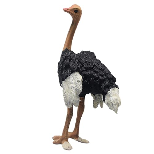 Srliya Lebensechte Strauß-Figur, Strauß-Figur, Lebensechte Pädagogische Lern-simulierte Strauß-Wildtier-Tier-Spielzeugfigur für und Mädchen Srliya Lebensechte Strauß-Figur, Strauß-Figur, Lebensechte Pädagogische Lern-simulierte Strauß-Wildtier-Tier-Spielzeugfigur für und Mädchen von Srliya