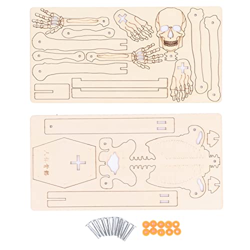Srliya Menschliches Skelett-Spielzeug aus Holz, DIY-Menschenskelett-Spielzeug, Klare Struktur Zum Lernen für Kinder, Menschliches Körpermodell mit Beweglichen Armen und Beinen, von Srliya