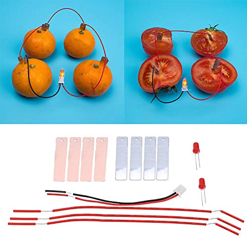 Srliya Pädagogischer Zitronenbatteriesatz 10×9×1 Kinder DIY Selbstgemachte Fruchtbatterieleistung Pädagogisches Experiment Zur Stromerzeugung Srliya Pädagogischer Zitronenbatteriesatz 10×9×1 Kinder DIY Selbstgemachte Fruchtbatterieleistung Pädagogisches Experiment Zur Stromerzeugung von Srliya