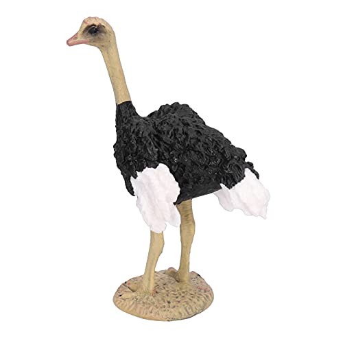 Strauß Modell Hoch Simulation Wildlife Tier Figur Sammlung Modell Pädagogische Prop (627) von Srliya