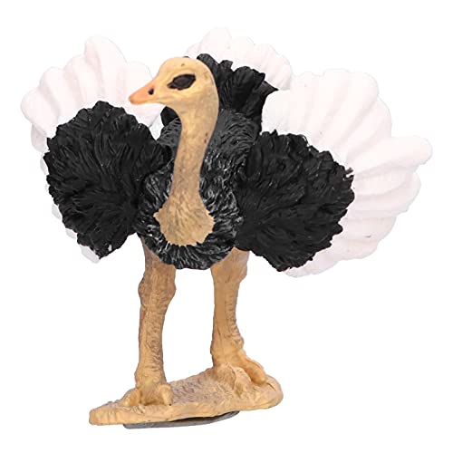 Strauß Modell Hoch Simulation Wildlife Tier Figur Sammlung Modell Pädagogische Prop (773) von Srliya