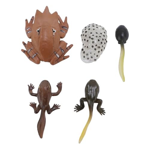 Tierfigur Spielzeug PVC Kompakte Realistische Kinder Kognitiver Wachstumskreislauf Tiermodell Froschspielzeug für zu Hause Tierfigur Spielzeug PVC Kompakte Realistische Kinder Kognitiver Wachstumskreislauf Tiermodell Froschspielzeug für zu Hause von Srliya