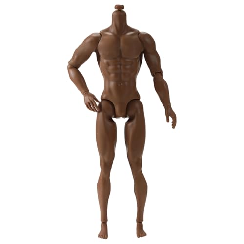 Ssguopte 1/6 Skala -Aktions -Abbildung, 6 Multi -Gelenk -Bewegbare männliche muskulöse Actionfigur Körper für Display -Sammlung, Brown von Ssguopte