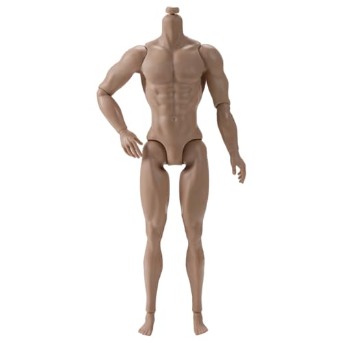 Ssguopte 1/6 Skala -Aktions -Abbildung, 6 Multi -Gelenk -bewegliche männliche muskulöse Wirkungsfigur Körper für Display -Sammlung, Hellbraun Ssguopte 1/6 Skala -Aktions -Abbildung, 6 Multi -Gelenk -bewegliche männliche muskulöse Wirkungsfigur Körper für Display -Sammlung, Hellbraun von Ssguopte