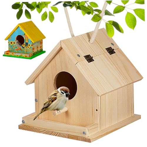 Ssguopte Bird House Kit Holzfarbe Build DIY Kits Pinselschraubendreher Montageschrauben 6 Farbe Kinder 3+ von Ssguopte