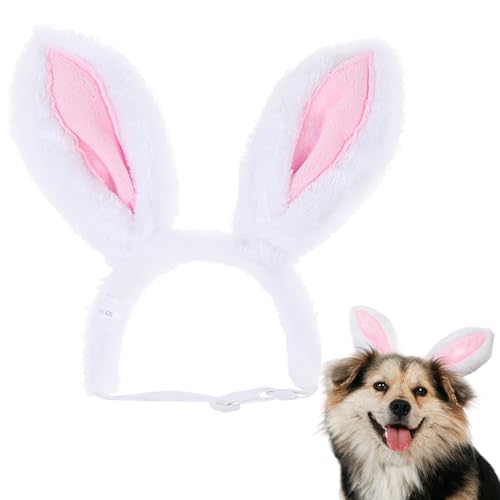 Ssguopte Hunde Bunny Ohren Stirnband süßes, kurzes, kurzes, dekoratives Cartoon Bunny Ohren für Katzen Hundekopfzubehör Ssguopte Hunde Bunny Ohren Stirnband süßes, kurzes, kurzes, dekoratives Cartoon Bunny Ohren für Katzen Hundekopfzubehör von Ssguopte
