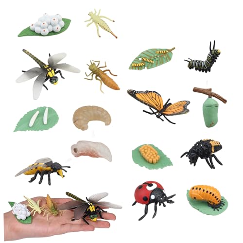 Ssguopte Insektenlebenszyklus Spielzeugset 4 Plastikmodelle Schmetterling Biene Ladybird und Libellen -Pädagogik -Figuren für Kinder Ssguopte Insektenlebenszyklus Spielzeugset 4 Plastikmodelle Schmetterling Biene Ladybird und Libellen -Pädagogik -Figuren für Kinder von Ssguopte