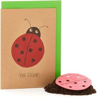 Saatpapier-Grußkarte "Viel Glück" Marienkäfer, mit Saatstecker und Umschlag Saatpapier-Grußkarte "Viel Glück" Marienkäfer, mit Saatstecker und Umschlag von Stadtgärtner