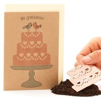 Saatpapier-Grußkarte "Wir gratulieren" Hochzeitstorte, mit Saatstecker und Umschlag Saatpapier-Grußkarte "Wir gratulieren" Hochzeitstorte, mit Saatstecker und Umschlag von Stadtgärtner