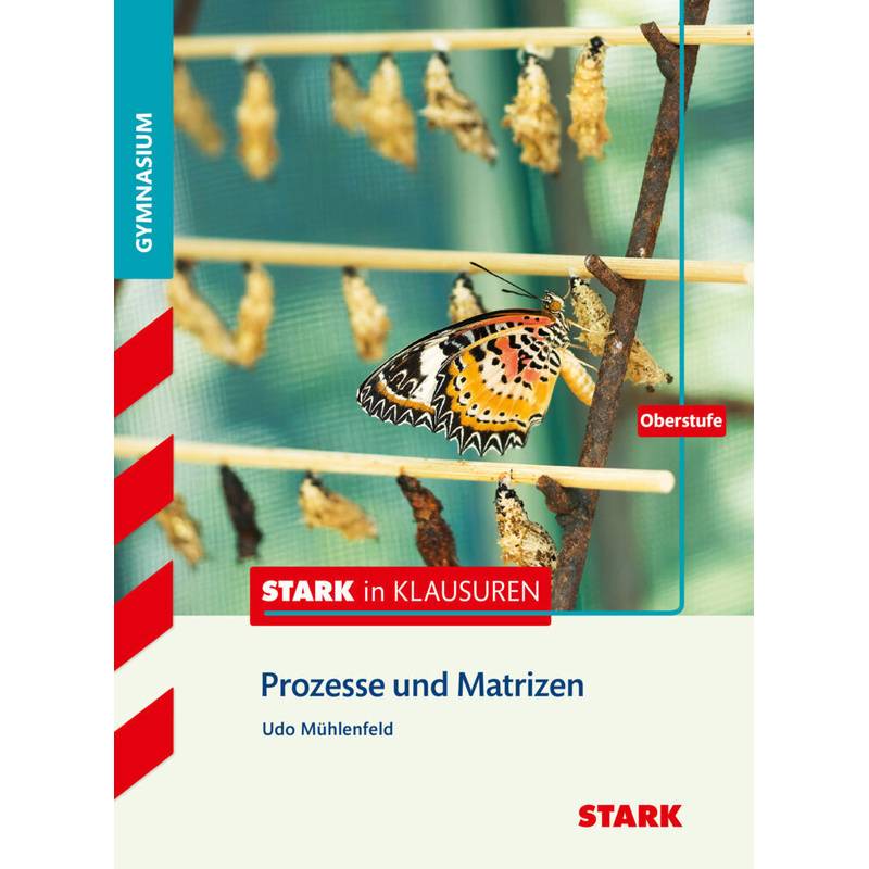 Stark in Klausuren - Mathematik Stochastische Prozesse von Stark Verlag