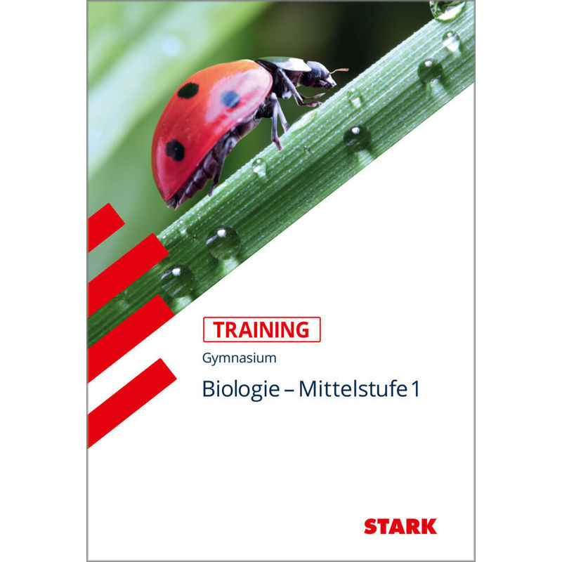 Training / Biologie - Mittelstufe.Bd.1 von Stark