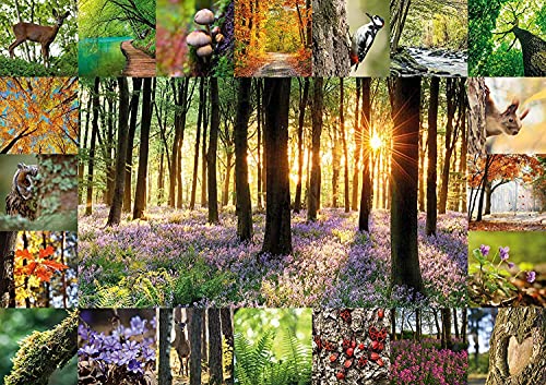 Starnberger Spiele - Waldbaden Puzzle - 1000 Teile - Für Kinder und Erwachsene - Geschenk für Natur- und Waldliebhaber von Starnberger Spiele