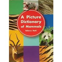 A Picture Dictionary of Mammals: Big Book Grade K von Steck Vaughn Co