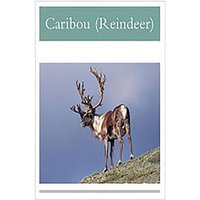 Caribou Reindeer von Houghton Mifflin Harcourt P