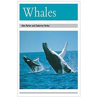Whales von Houghton Mifflin Harcourt P