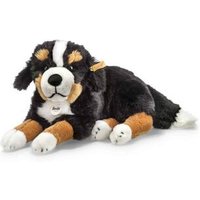 STEIFF 079528 Senni Berner Sennenhund von Steiff