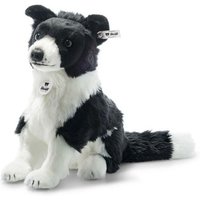 Steiff 122163 - Jaycee Border Collie, sitzend, Plüsch, schwarz/weiß, 28 cm Steiff 122163 - Jaycee Border Collie, sitzend, Plüsch, schwarz/weiß, 28 cm von Steiff