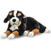 Steiff - Senni Berner Sennenhund 45 liegend von Steiff