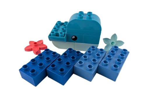 Lego® DUPLO® Wal schwimmt im Meer – Ozean-Abenteuer mit Wal und Bausteinen: Spielerisch Tiere und Farben entdecken von Stein-Experte