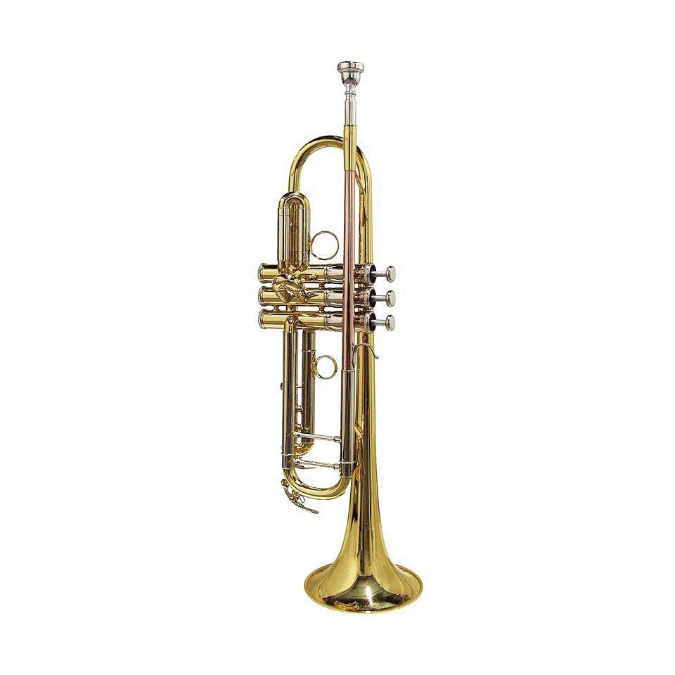 Stewart Ellis SE-2400-L Perinettrompete Stewart Ellis SE-2400-L Perinettrompete von Stewart Ellis