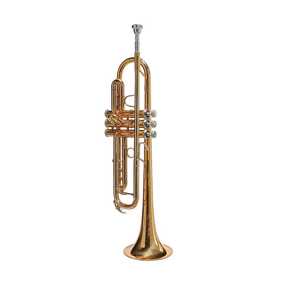 Stewart Ellis SE-2500-Pro Perinettrompete von Stewart Ellis