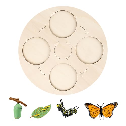 Lernspiele für Lebenszyklus, skalierbares Puzzle für | Wissenschaftliches Spiel aus Holz, interaktiv, lebendige Farben für – Schmetterling, Frosch, Henne Lernspiele für Lebenszyklus, skalierbares Puzzle für | Wissenschaftliches Spiel aus Holz, interaktiv, lebendige Farben für – Schmetterling, Frosch, Henne von Stibtmr