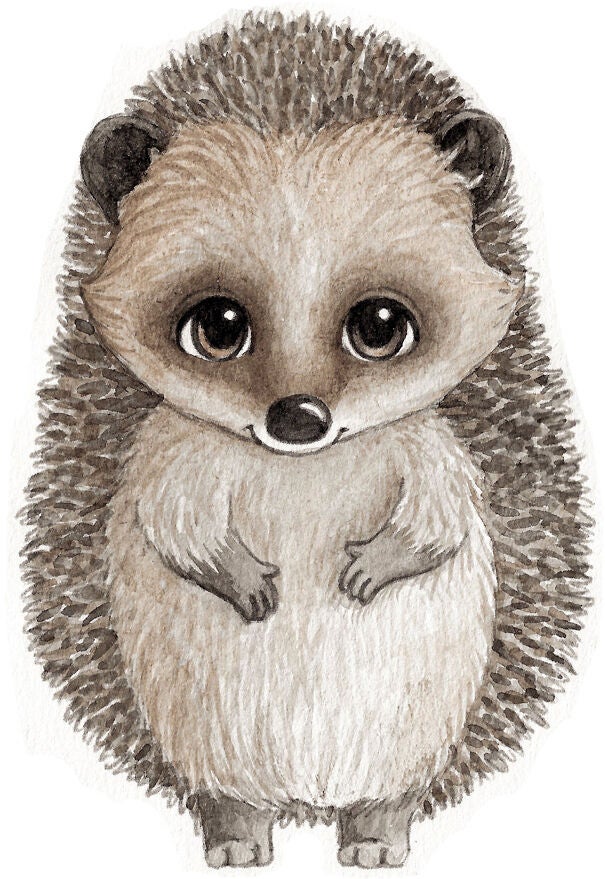Stickstay Harry The Hedgehog Wandsticker Stickstay Harry The Hedgehog Wandsticker von Stickstay