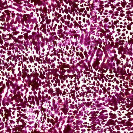 Camo And Animal Baumwollstoff 112cm Farbe 779 - 50cm Camo And Animal Baumwollstoff 112cm Farbe 779 - 50cm von Stoffabrics