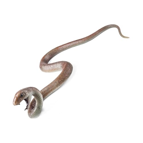Storage Bag Realistische Schlangenschlangenspielzeug Weichgummi Figur Spielzeug Für Bildungsausstellung Und Home Decoration Streichprops Reptilien Bildung von Storage Bag