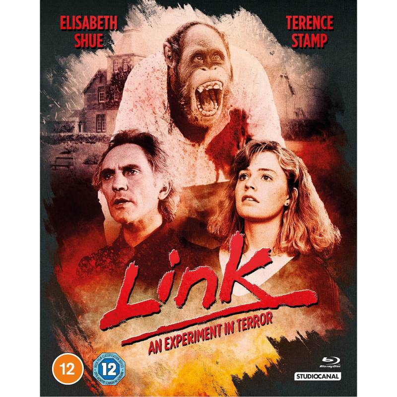 Link von Studiocanal