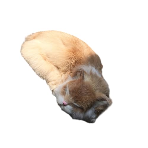 Suammiitstrieadea Dekoration Emulation schlafende atmende Katze, realistische schlafende Katzen, als stilvolle Akzente, gemischt, ungiftig, niedlich, gute Geschenke, gelb Suammiitstrieadea Dekoration Emulation schlafende atmende Katze, realistische schlafende Katzen, als stilvolle Akzente, gemischt, ungiftig, niedlich, gute Geschenke, gelb von Suammiitstrieadea
