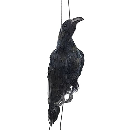 SuanQ Realistische Dead Crow Lockvogel in Lebensgröße, extra schwarz, gefiederte Krähe von SuanQ
