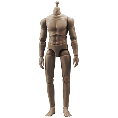SueaLe 6inch Realistische Muskelkörpermodellfigur Mit Flexiblen Gelenken 1/12 Skala Aktion Figur Männlicher Körper Für Dynamische Posen Realistischer Muskelwirkung SueaLe 6inch Realistische Muskelkörpermodellfigur Mit Flexiblen Gelenken 1/12 Skala Aktion Figur Männlicher Körper Für Dynamische Posen Realistischer Muskelwirkung von SueaLe