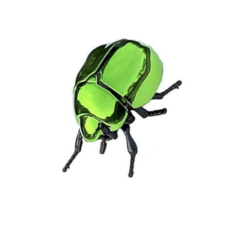 Toy Simulation Windup Scaraby Spielzeug Abs Plastik Figur Bildungsgeschenk Für Kinder Erwachsene Schreibtisch Unterhaltung Bildungsinsektenmodell Toy Simulation Windup Scaraby Spielzeug Abs Plastik Figur Bildungsgeschenk Für Kinder Erwachsene Schreibtisch Unterhaltung Bildungsinsektenmodell von SueaLe