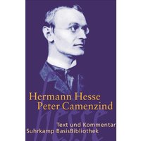 Peter Camenzind von Suhrkamp
