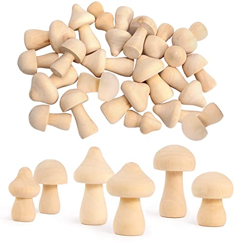 Sujurio 30 Stück unlackierte Holzpilze 6 Größen natürliche Holzpilze für Kunst & Handwerk Projekte Dekoration von Sujurio