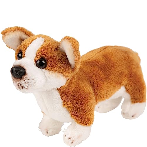 Suki Gifts International - Kleiner Hund, Corgi (12153), Beige von Suki Gifts