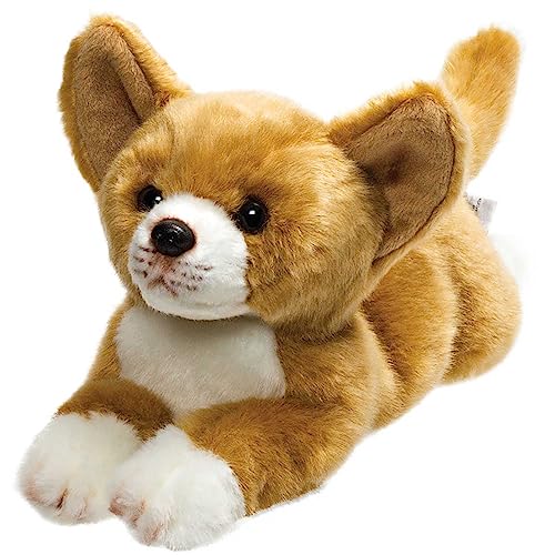 Suki Gifts 12089 Chihuahua Hund Plϋschtier 30cm Suki Gifts 12089 Chihuahua Hund Plϋschtier 30cm von Suki Gifts