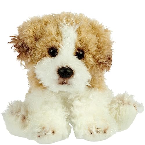 Suki Gifts International - Kleiner sitzender Hund, Maltipoo (12177), Braun und Weiß von Suki Gifts