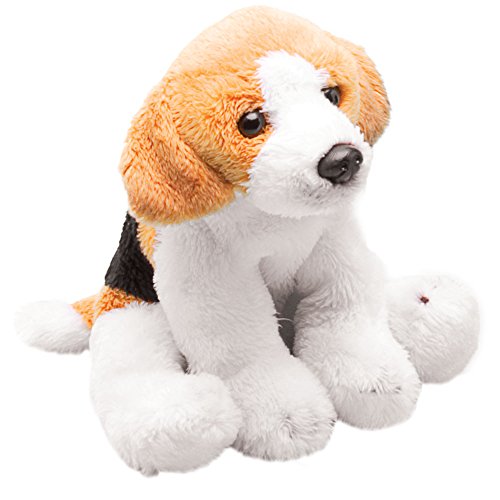 Yomiko 12004 Hund Sitzender Beagle, Hellbraun, Schwarz und Weiß, S (Pack of 1) von Suki Gifts